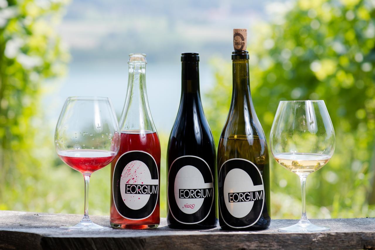 Weingut Georgium Bed & Breakfast Sankt Georgen am Längsee Eksteriør bilde