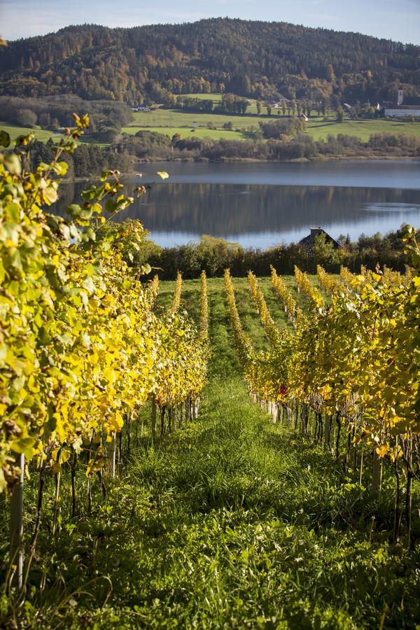 Weingut Georgium Bed & Breakfast Sankt Georgen am Längsee Eksteriør bilde